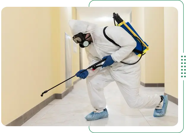 Best Mosquito Control Service in Dhaka