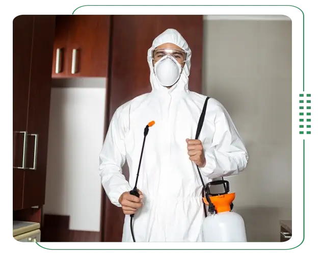 Best pest control service for Chattogram