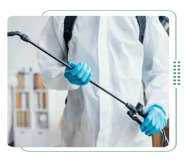 Best pest control service in Rajshahi, Bangladesh