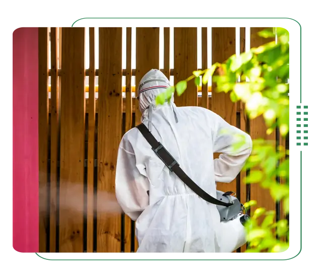 Best pest control services in Gazipur