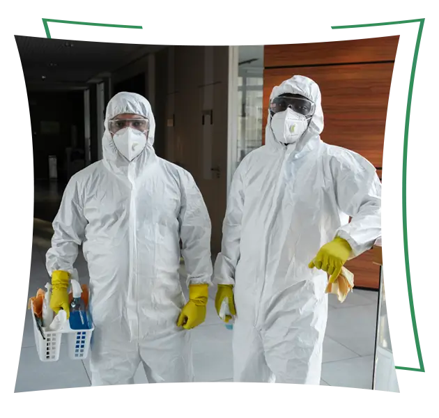 Best termite control treatment