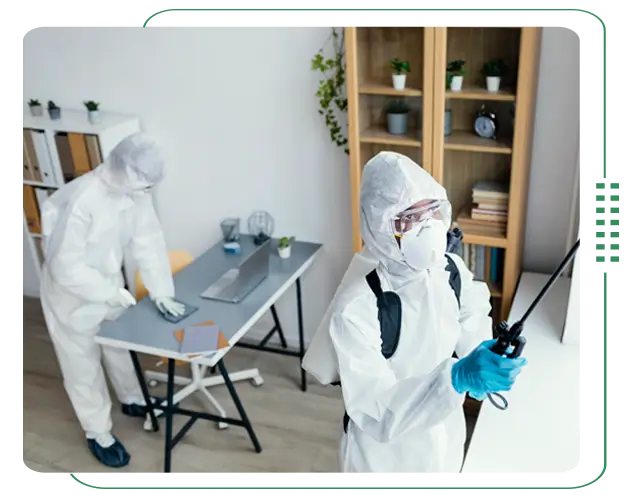 Commercial pest control service in Bangladesh