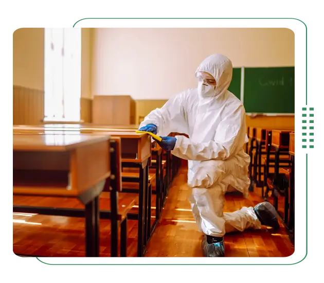 Effective School pest control services in Dhaka, Bangladesh