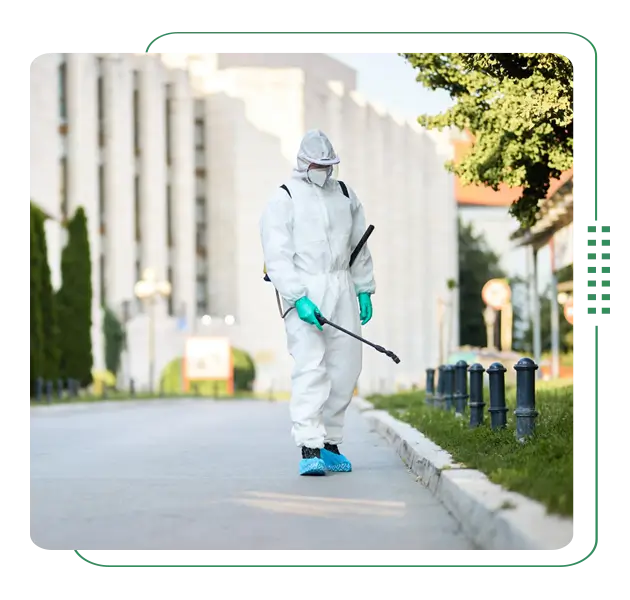 Industrial pest control services in Dhaka, Bangladesh