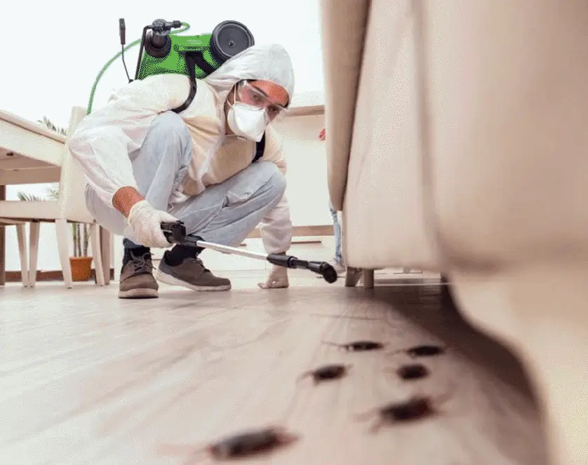 A man in a white coat and mask spraying bugs on the floor.