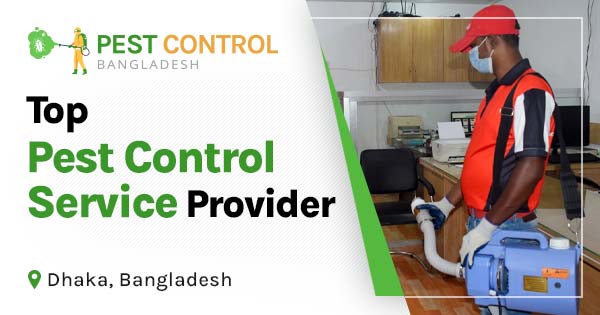 Top pest control service provider in Dhaka