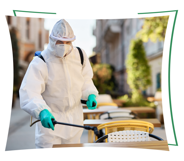 Pest Control Services for Food and Beverage