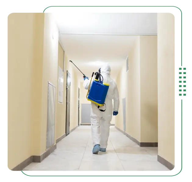 Pest control services for Hotels