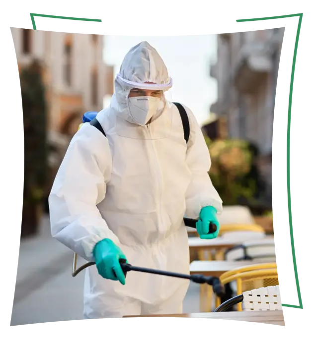 Top-notch pest control services