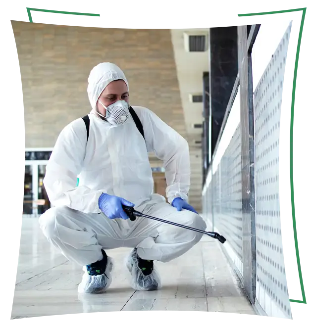 Works procedure of our office pest control